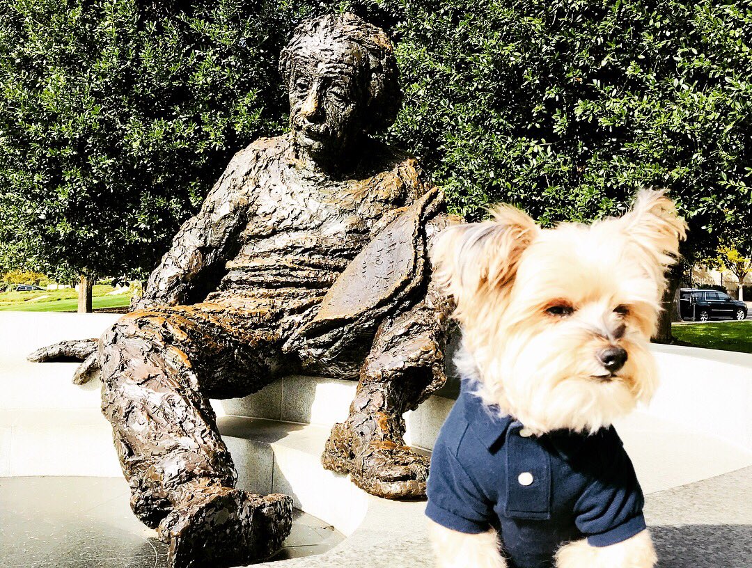 ms_peili's tweet photo. Hummm E=MC^2 !?! #photowithalbert https://t.co/Txaz3BjOAO