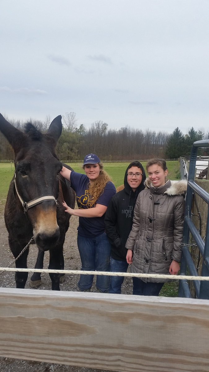 BAHR_HAHD's tweet photo. Members of Geneseo Alpha Phi Omega Coed Fraternity met Big Jo after working on some farm projects today #thanksAPO https://t.co/uDDN1oEWzh