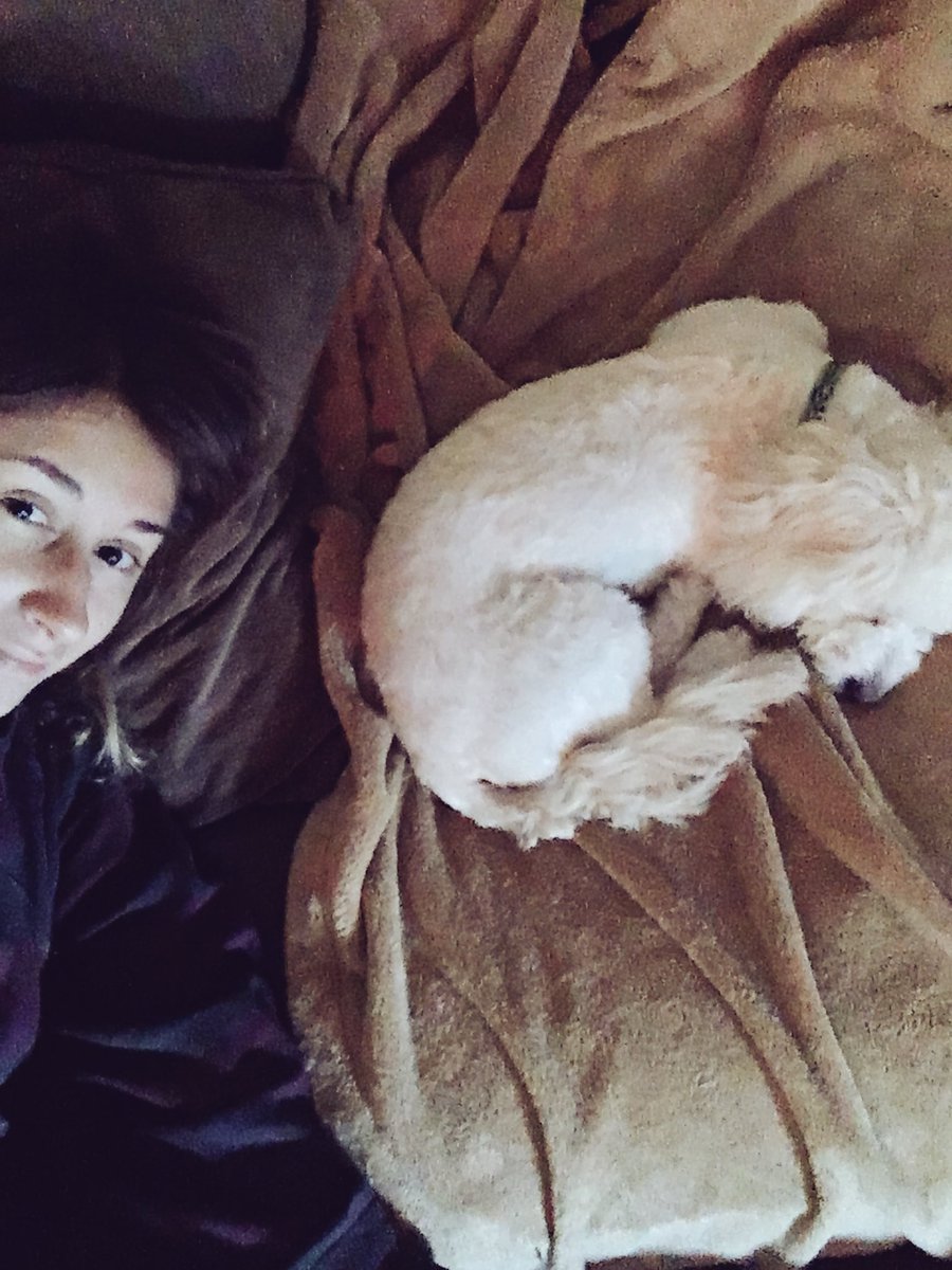 thisiseleni's tweet photo. Luna puppy was spayed so we get to nap all day with her 💕 Perfect for the extra hour tonight 😴 Hope your weekend is nice &amp; cozy too https://t.co/LQEYLEv5wn