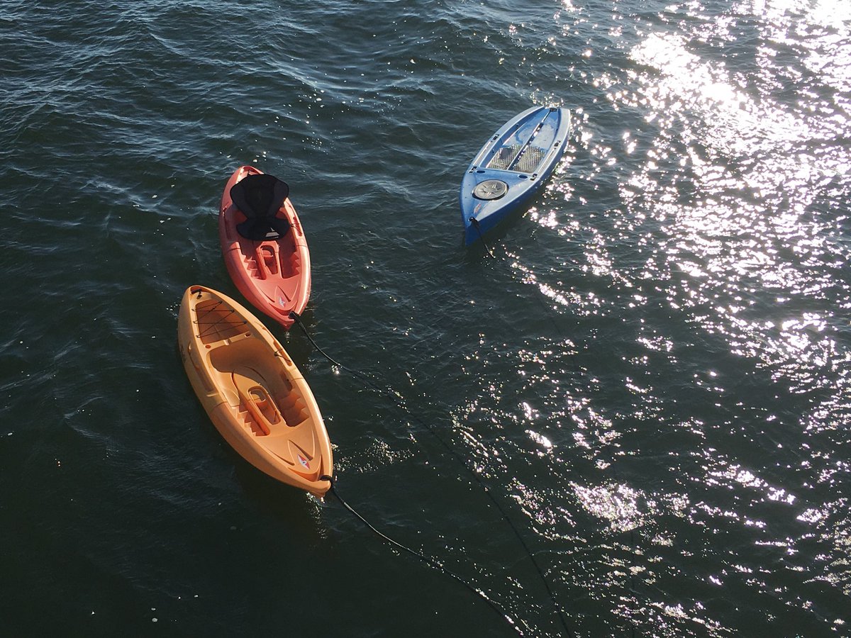 wrtorge's tweet photo. #its5oclocksomewhere #day308 #boatingabout #waterrodeo #photocred @buboltz https://t.co/Henl4XECw7