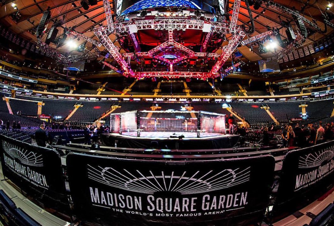 Chriss Vargas tweet media