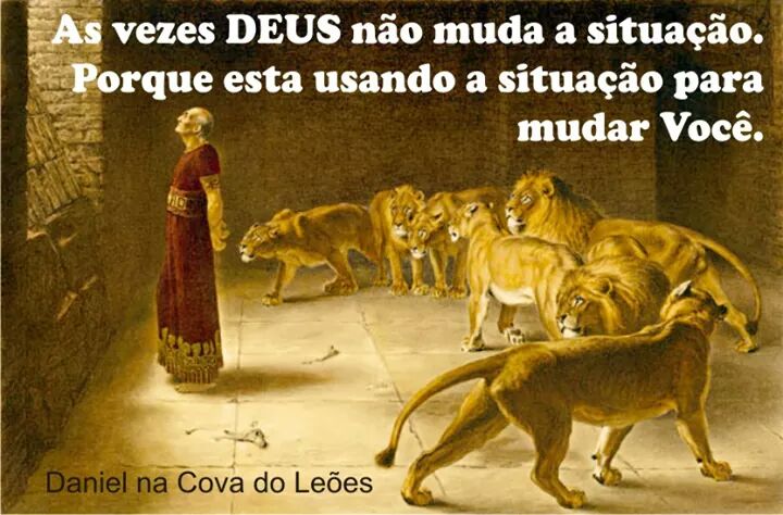 Iolanda Arruda (@iolanda_arruda1) on Twitter photo 