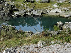 dhackett4150's tweet photo. #sink #bluesink #reflections #cenote #cenotes #krast #grotto #springwater #freshwater #florida #dhackett https://t.co/kaQs6CXTbW https://t.co/SWiubnbmDH