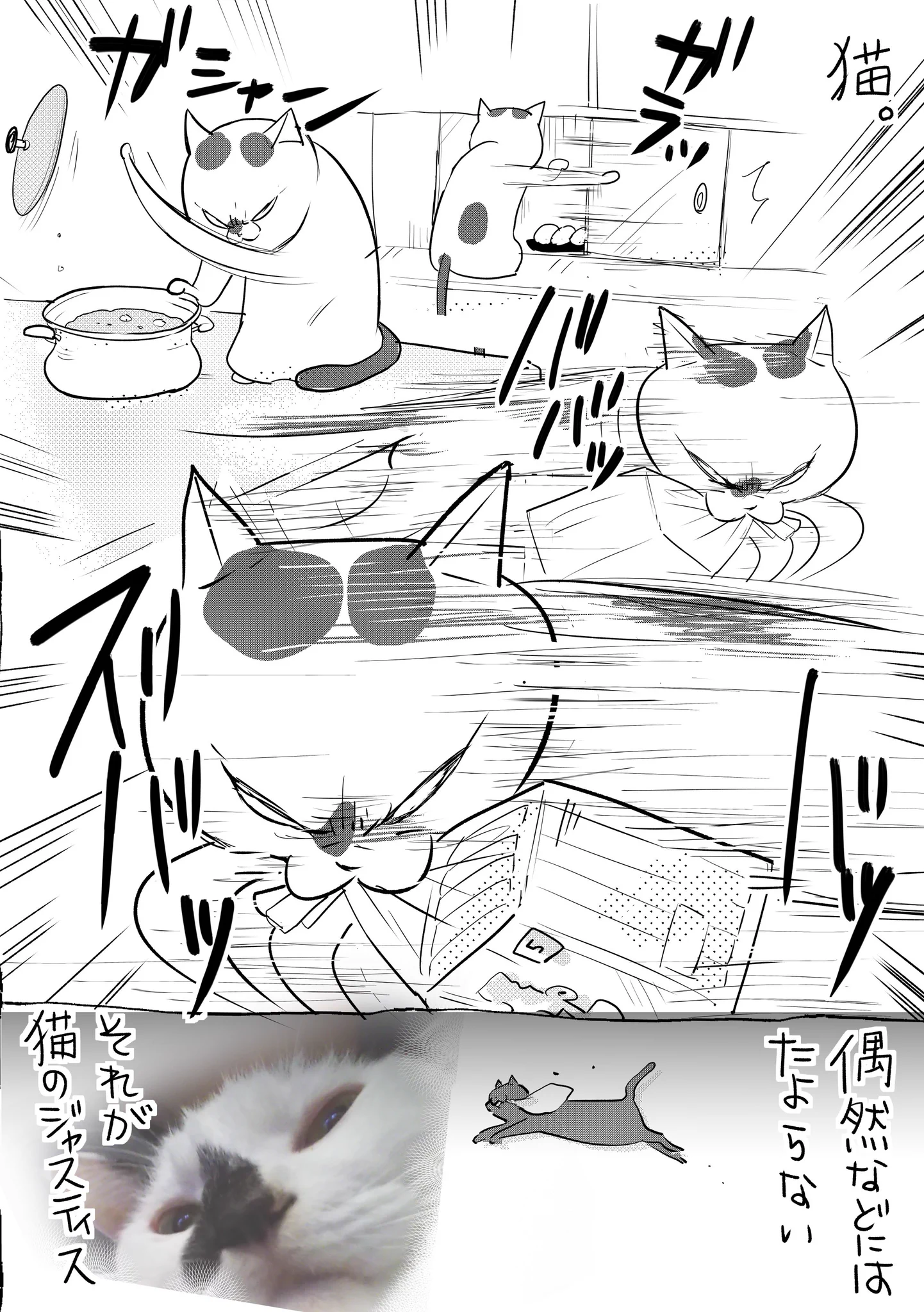 偶然などには頼らないｗｗｗ犬と猫の悲しき習性・ジャスティス！！ｗｗｗ