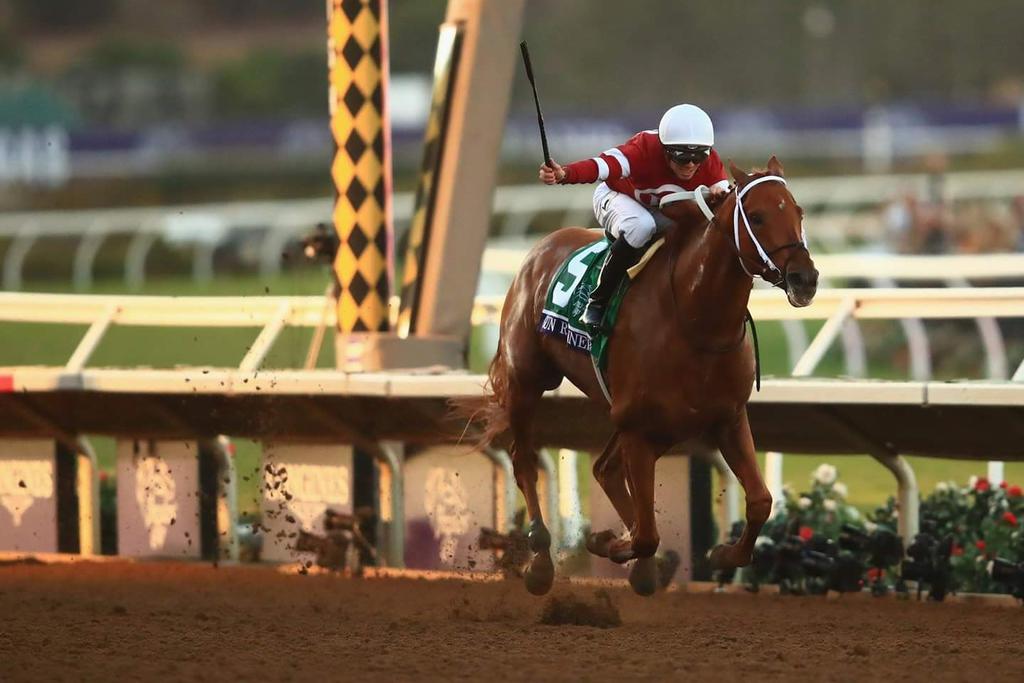 GonzaloAprea's tweet photo. Gun runner hijo de Candy Ride padrillo ARGENTINO despatarrando rivales en la carrera más importante de Usa, #GOCANDY https://t.co/0mSjJMOBgH