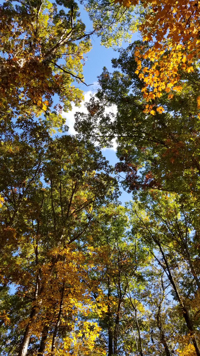 nicetri's tweet photo. This one makes a great phone background. Enjoy. #ASCGreenway https://t.co/avHezBY9a7
