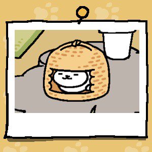 nodoca tweet media