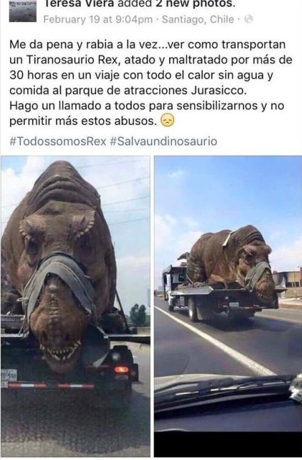#TodosSomosRex