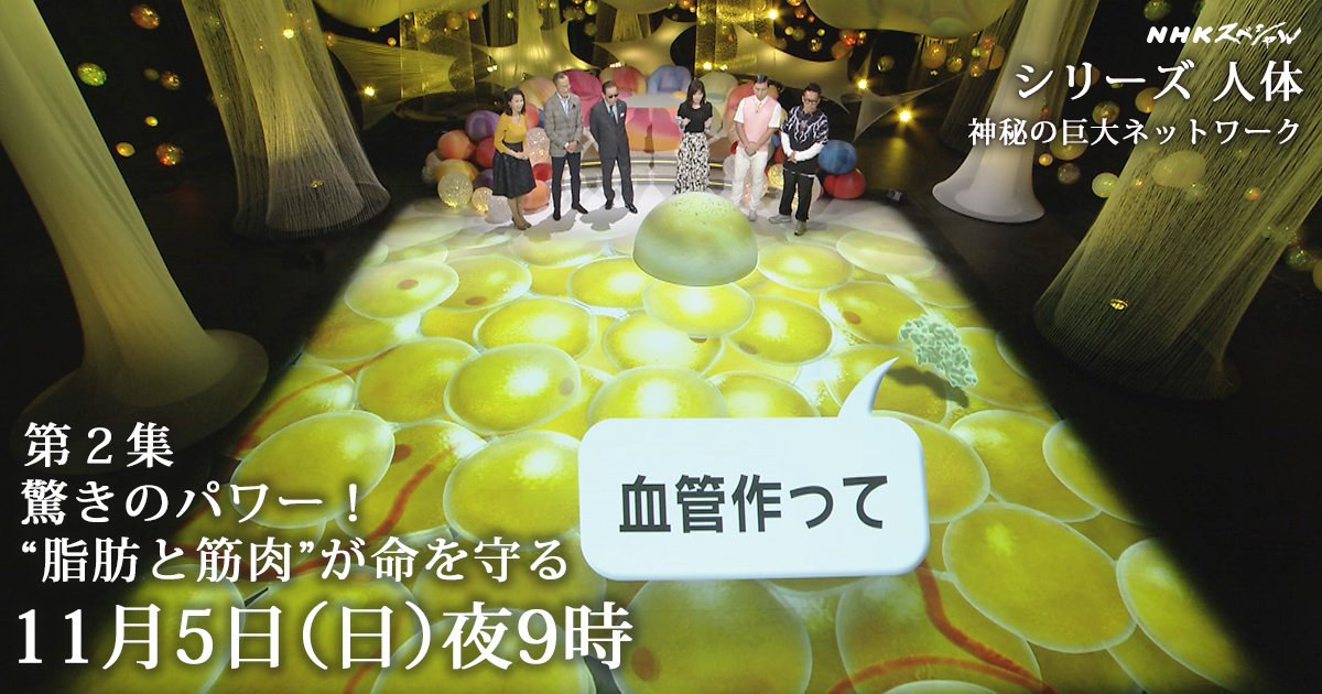 ｎｈｋスペシャル公式 En Twitter 人体 シリーズ第２集 大学病院 医療機器メーカーの全面協力のもと 全身の脂肪と筋肉を世界初の映像化 圧巻の体内ｃｇ 細胞たちの姿をドラマチックに描く スタジオではプロジェクションマッピングでミクロの世界を体感