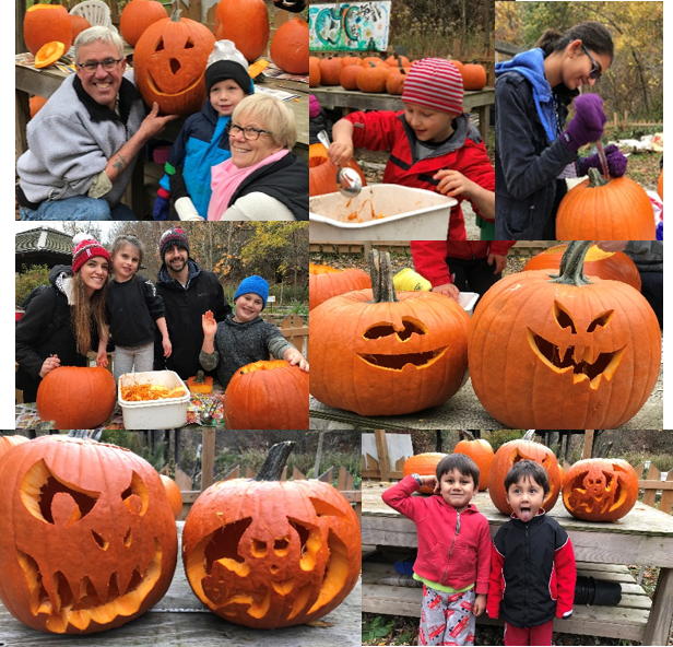 Some great pumpkin fun at Willow Park Ecology Centre! Thanks <a href="/wiloparkecology/">Willow Park Ecology</a> ! Can't wait for next year! #pumpkins #fallfun #nature 🎃🎃