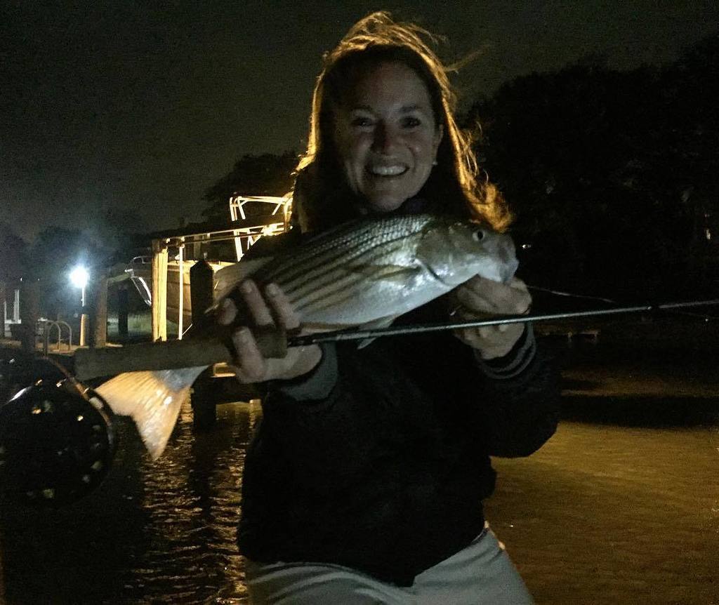 fall_fall's tweet photo. @featherednestvb landed her first #rockfish on #the-fly this evening! #Congrats my love!! #lynnhavenriver #flyfis… https://t.co/QO7Od1QmRx https://t.co/bkYmHvXRcj
