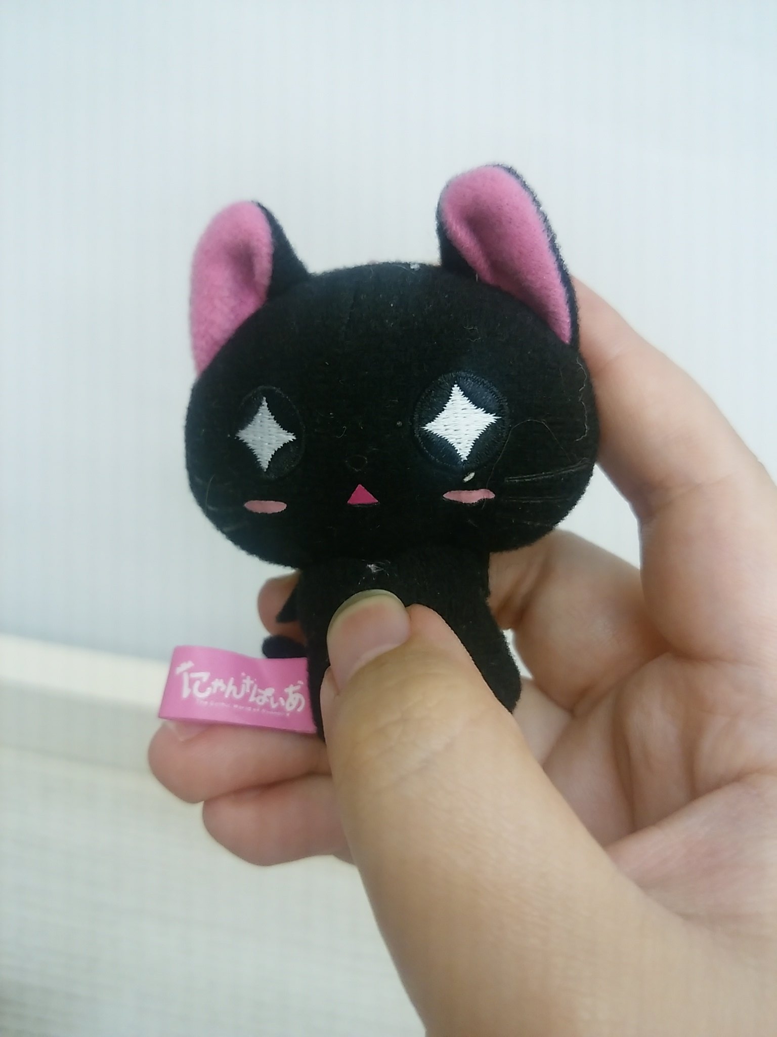 ほたる Pa Twitter にゃんぱいあ ほたる Pa Twitter にゃんぱいあ