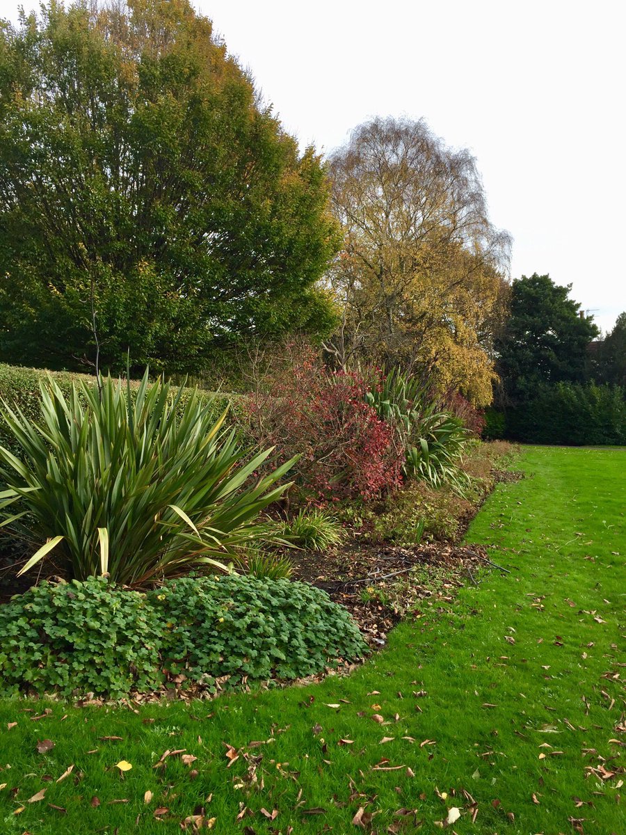 Alice Smart tweet media