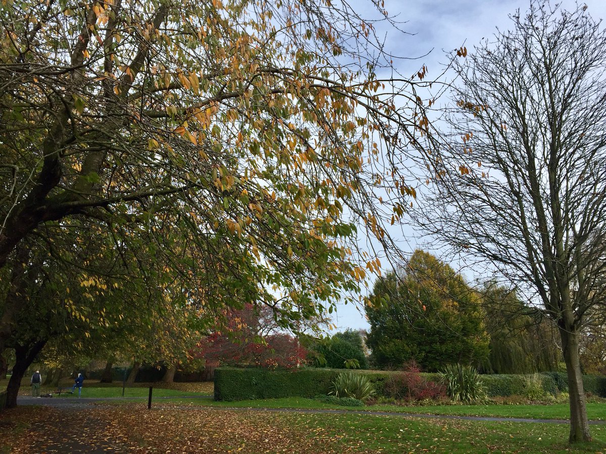 Alice Smart tweet media