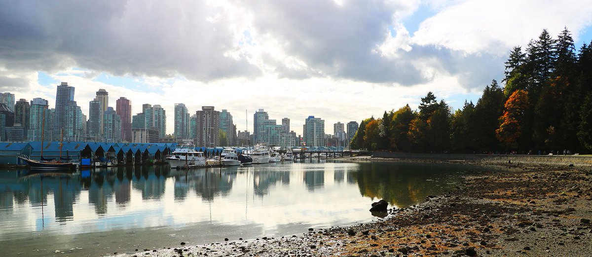 FSCUK's tweet photo. We’re in this together, for future generations. Signing the #FSC #VancouverDeclaration shows your business cares https://t.co/9qNpOP6zL3 https://t.co/LbjTTl6RCF