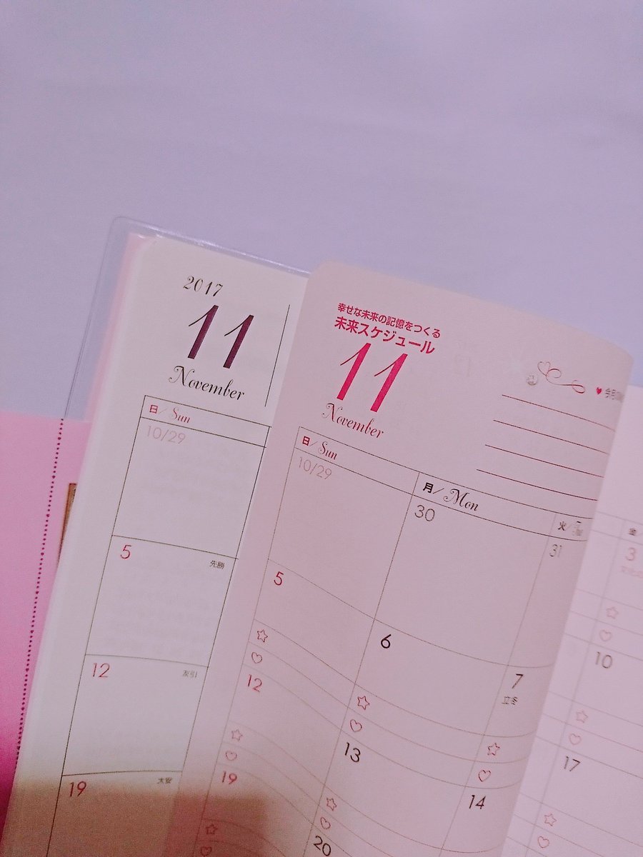 か ほ 秋山まりあさんの 本当に幸せになる手帳18 購入しました 惹かれたところは マンスリーが２枚ついてて ひとつは予定を もうひとつは 未来スケジュールを書けるようになっているところ 未来スケジュールを重点的に書いていこうと思います