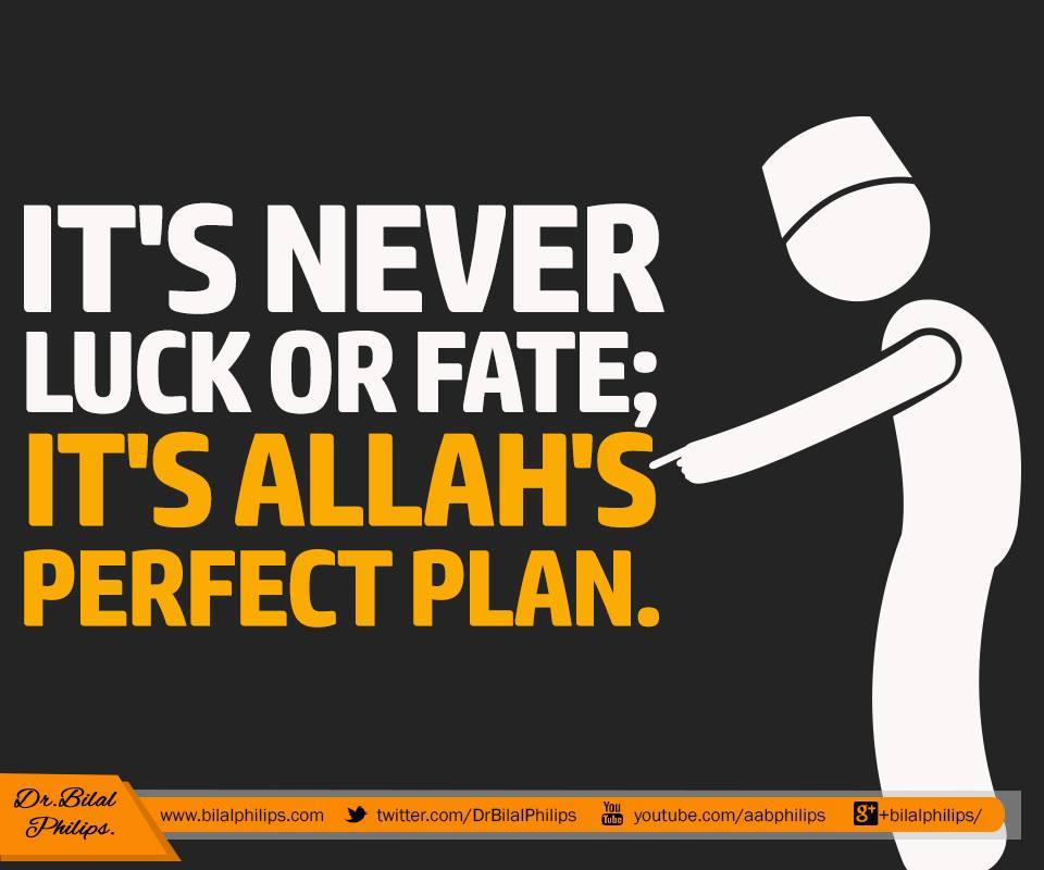 DrBilalPhilips's tweet photo. "But they plan, and #Allah plans. And Allah is the best of planners." [8:30] #Muslims #Islam https://t.co/32s2lpuXk8