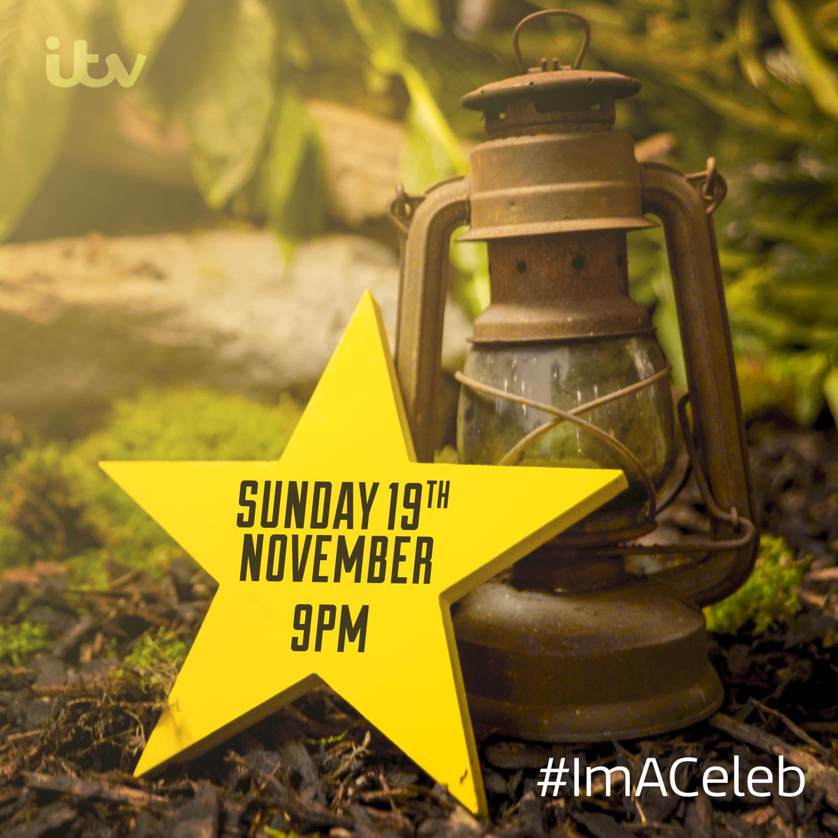 ITV's tweet photo. Forget Christmas, this is the ONLY date you need to remember this year.

Sunday 19th November. #ImACeleb https://t.co/FGvkaehnBH