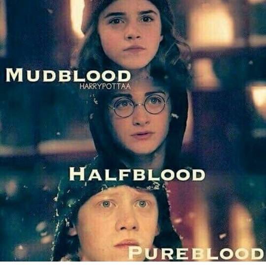 HogwartsTeamTR's tweet photo. Golden Trio... https://t.co/Mqk2otDw7L