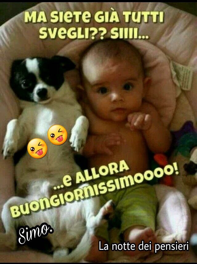 DesanzuaneM's tweet photo. Buongiorno.. https://t.co/suzaMhgR22