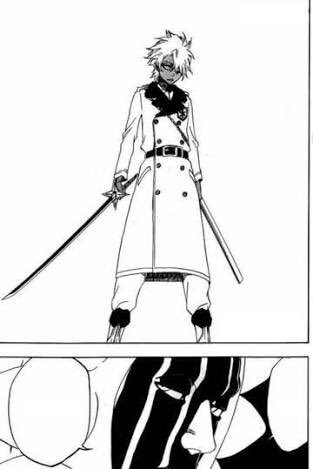 Bleach 日番谷冬獅郎まとめ 斬魄刀と真の卍解とは 雛森など死神との関係も 5ページ目 Selvy