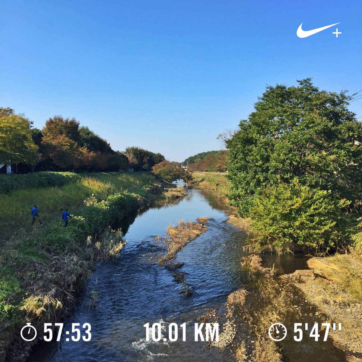 takeshi_mochida's tweet photo. #野川 #NogawaRiver #ランニング #running #10km #keepcalmandrunon #autmntrees https://t.co/b1Ky21Sfa4