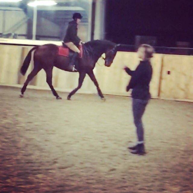 jollew411's tweet photo. Ex @Johnflint_11 Captain Scarlett has just started his retraining for the show ring #excitingprospect #5timewinner @RoRlatest #RoR https://t.co/MmJglCL6J8