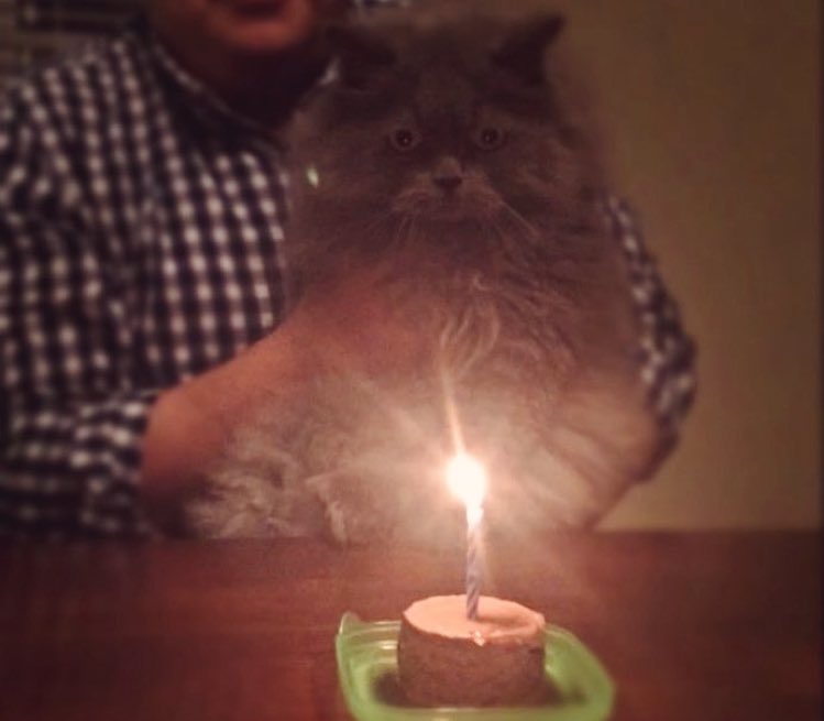 cicirm91's tweet photo. Jajaja me muero de amooor! 😻😻😻😻 #11thBday https://t.co/fGcgWc8hGG
