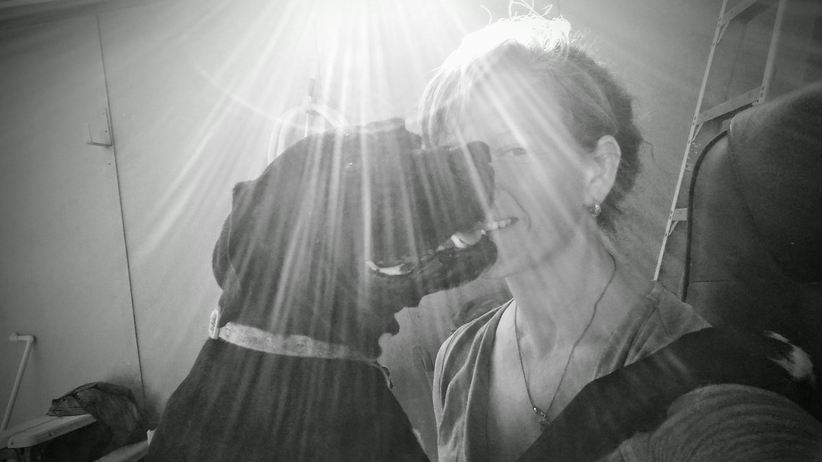 alexandrabird13's tweet photo. They're not just dogs. They're the bark on my family tree💛
#FaceBark #RescueDogsRock #DogsAreFamily #bark #FamilyTree https://t.co/DhoyMLRJPh