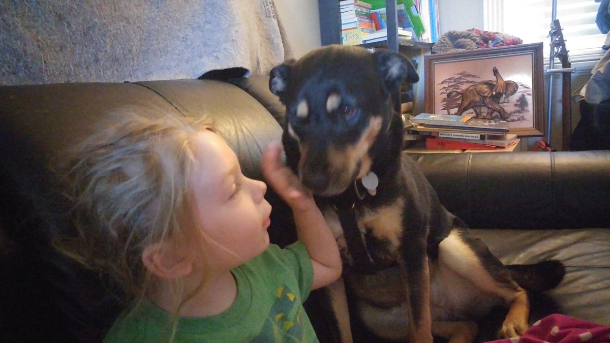 alexandrabird13's tweet photo. They're not just dogs. They're the bark on my family tree💛
#FaceBark #RescueDogsRock #DogsAreFamily #bark #FamilyTree https://t.co/DhoyMLRJPh