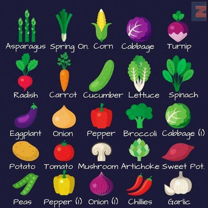 unwellfrog's tweet photo. #Vocabulary Learn vegetable vocabulary. If you still have doubt about any, feel free to ask us. #EasyEnglishLearning https://t.co/IDSzM62Gne
