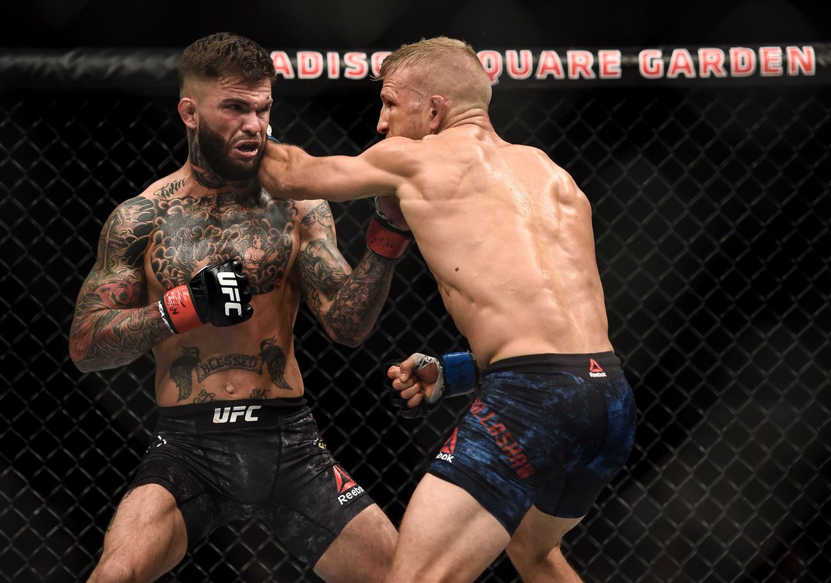 ufc's tweet photo. It was a hell of a night for the left hook

#UFC217 https://t.co/tC0KPVFEhH