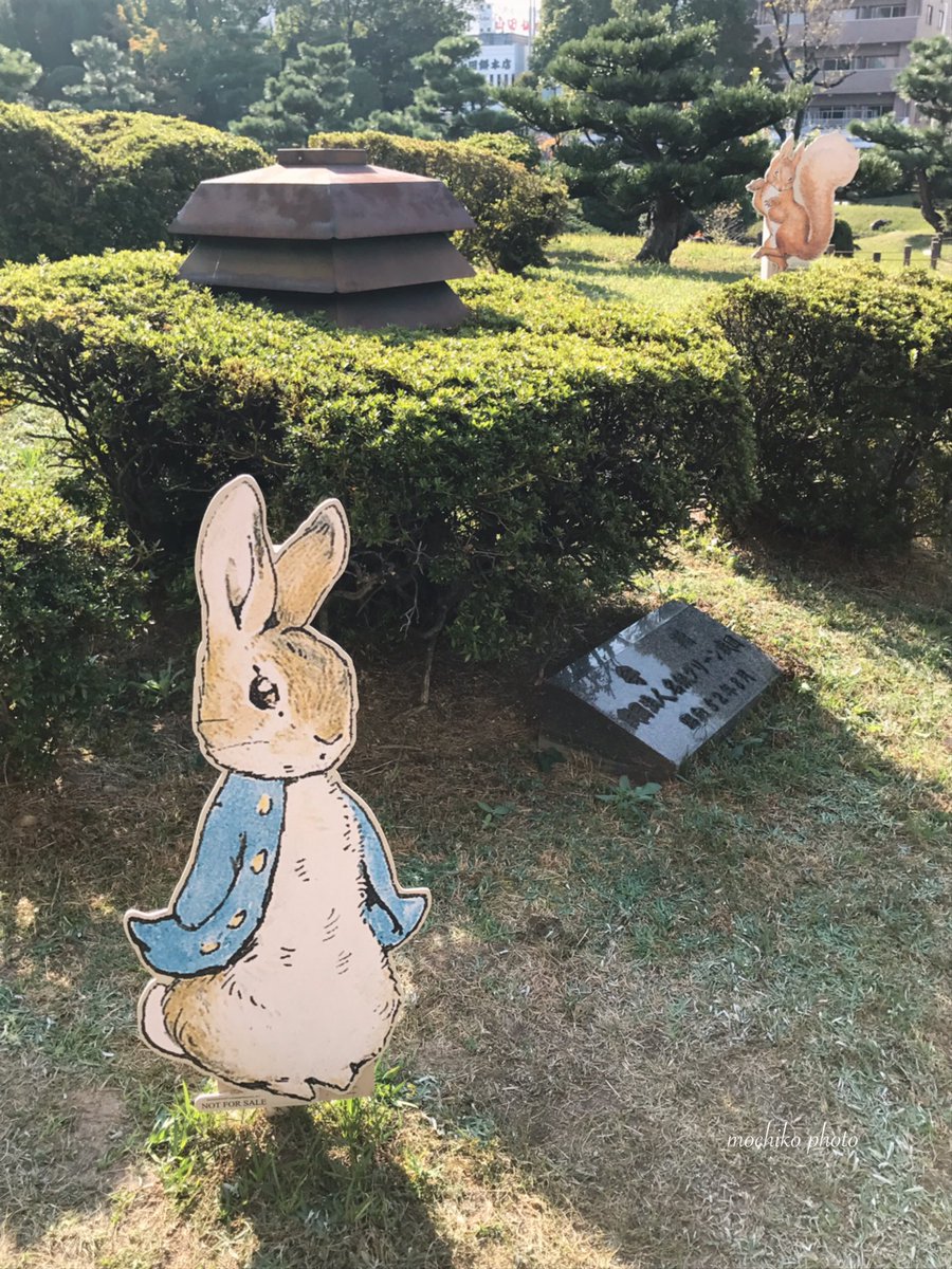 sakuraricecake's tweet photo. ピーターラビット展
全国巡回最終会場の
長い会期の
最終日に
やっとピーターたちに
会いに行けました♪

絵本の挿絵だから
当たり前のことなのに
とても小さな原画に
ちょっとびっくり

会場前の庭園も
楽しめました☺️

 #Beatrix150
#ピーターラビット展 https://t.co/RVZHi6UmDA