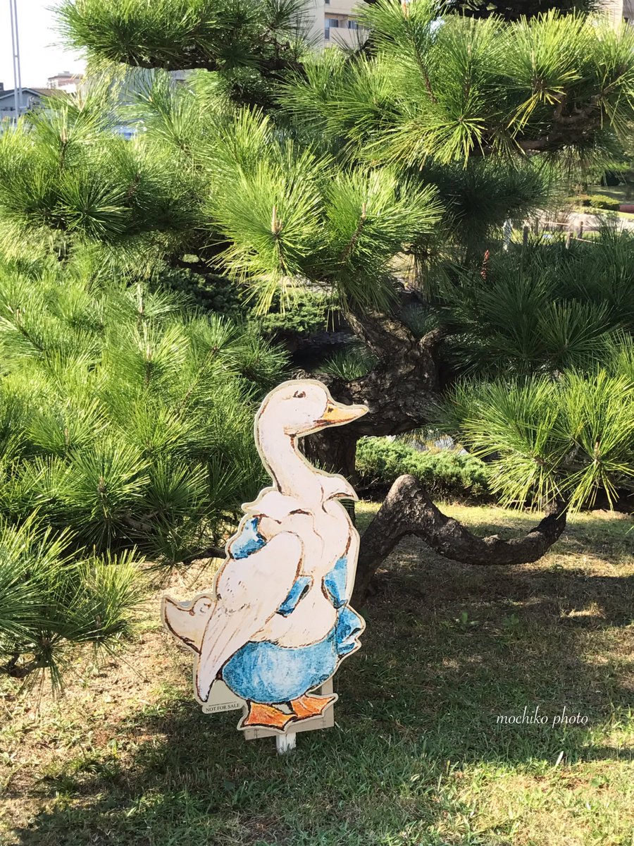 sakuraricecake's tweet photo. ピーターラビット展
全国巡回最終会場の
長い会期の
最終日に
やっとピーターたちに
会いに行けました♪

絵本の挿絵だから
当たり前のことなのに
とても小さな原画に
ちょっとびっくり

会場前の庭園も
楽しめました☺️

 #Beatrix150
#ピーターラビット展 https://t.co/RVZHi6UmDA