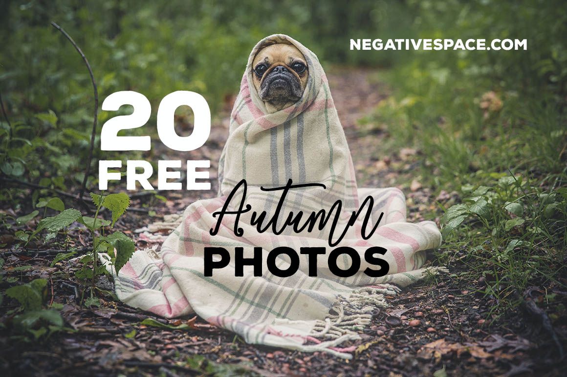 JewishEcards's tweet photo. 20 FREE Autumn Photos.
https://t.co/58orMsoHjY
Nice Selection ~CAN use for Commercial Purposes! via @Dealjumbo https://t.co/Y8jcjPLt04