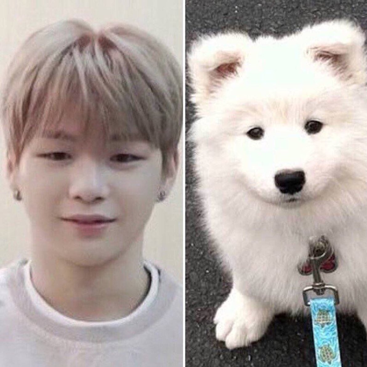 YouRmyLoveN's tweet photo. 와 한시간후에 #강다니엘 볼수 있다는거 실화냐  #강보스_이름표를지켜줘  드디어 오늘 본다 댕댕이   #런닝맨 출연 합니다 본방사수 https://t.co/Jr5TWfDsOA