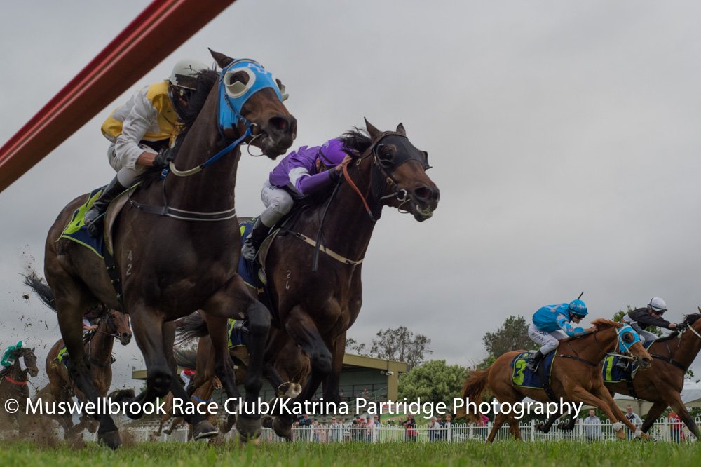 thebrookracing's tweet photo. COMMANDATORE won R7 Wallerawang Engineering B55 Hcp 1280m #AllanDenham Dble for #GregRyan RT 1:15.64 ST 35.94 https://t.co/aflKJ7gqDI
