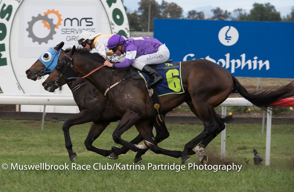 thebrookracing's tweet photo. COMMANDATORE won R7 Wallerawang Engineering B55 Hcp 1280m #AllanDenham Dble for #GregRyan RT 1:15.64 ST 35.94 https://t.co/aflKJ7gqDI