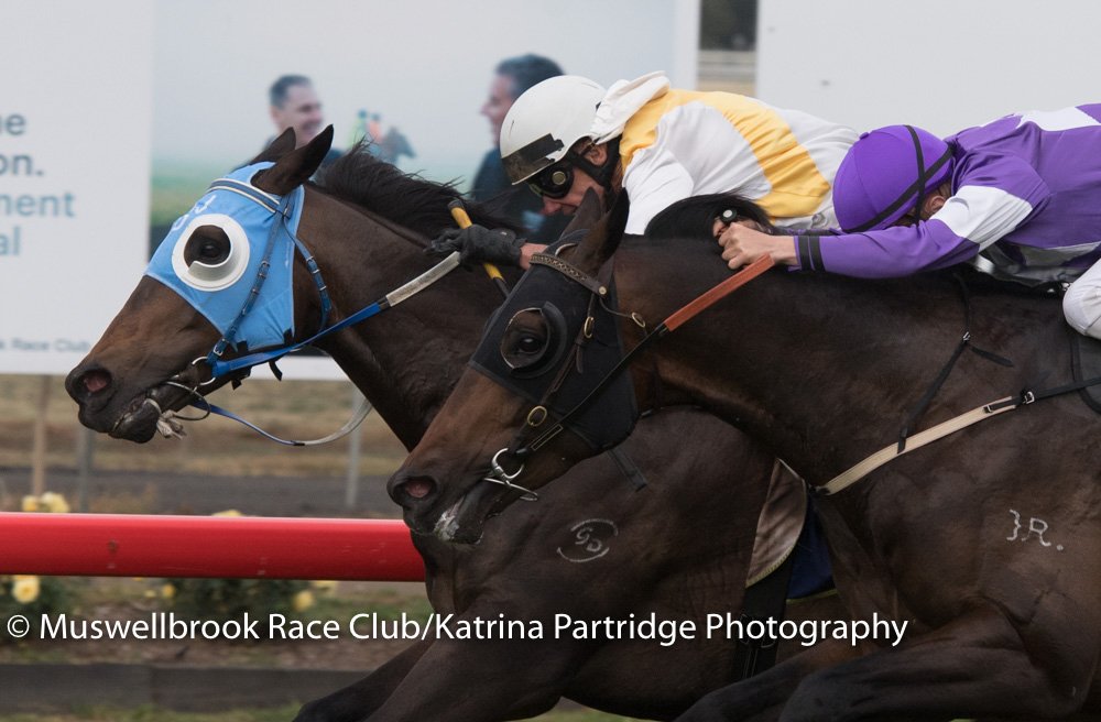 thebrookracing's tweet photo. COMMANDATORE won R7 Wallerawang Engineering B55 Hcp 1280m #AllanDenham Dble for #GregRyan RT 1:15.64 ST 35.94 https://t.co/aflKJ7gqDI