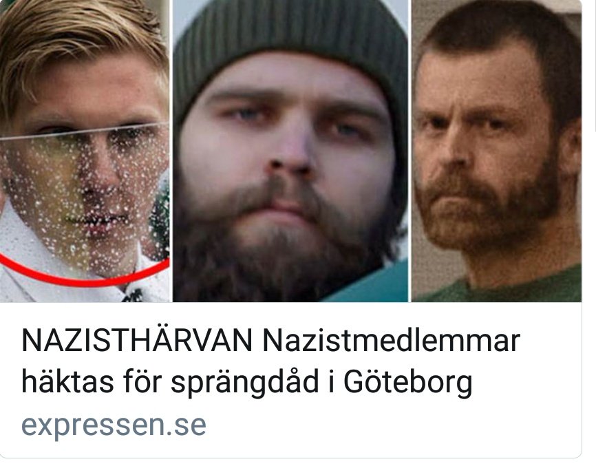 steinkobbe tweet picture