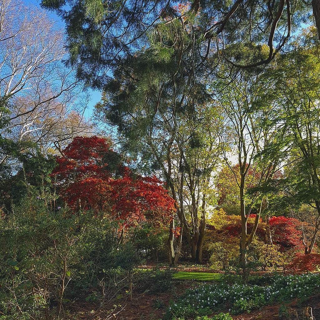 Another example of the colours yesterday at @bodnantgardennt #autumn #VisitWales #Nationaltrust