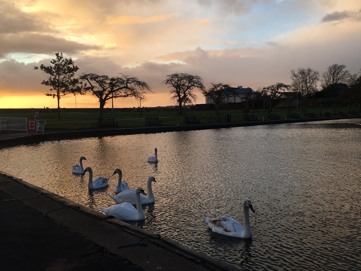 beachholidaylet's tweet photo. Sunrise over #Goodrington @GreatDevonDays @visitsouthdevon @SwanwatchUk https://t.co/zf9U2cO3EC