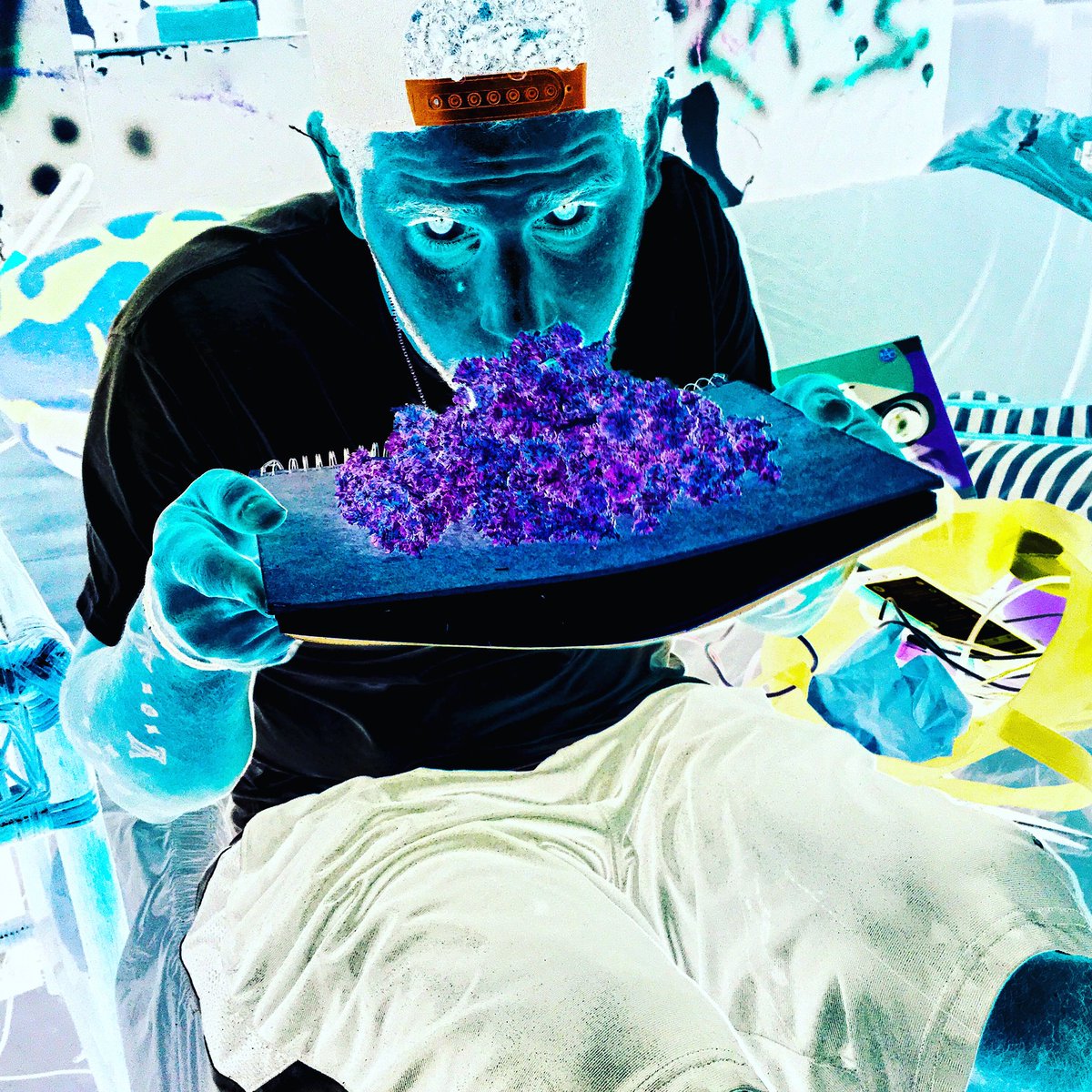 mixfolk1's tweet image. My life