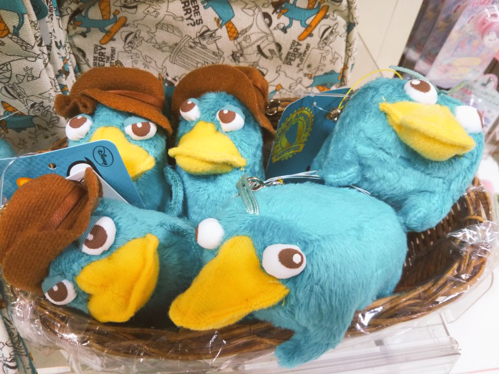 ぽとらっち 毎回入荷すると 売り切れるフィニアスとファーブのペリーグッズ再入荷してます マスコット ポーチ パスケースなどありまーす ぜひ早めにgetしてくださいね ๑ ㅂ ๑ フィニアスとファーブ ペリー エージェントp T ぽとらっち 毎回入荷すると 売り切れるフィニアスとファーブのペリーグッズ再入荷してます マスコット ポーチ パスケースなどありまーす ぜひ早めにgetしてくださいね ๑ ㅂ ๑ フィニアスとファーブ ペリー エージェントp T