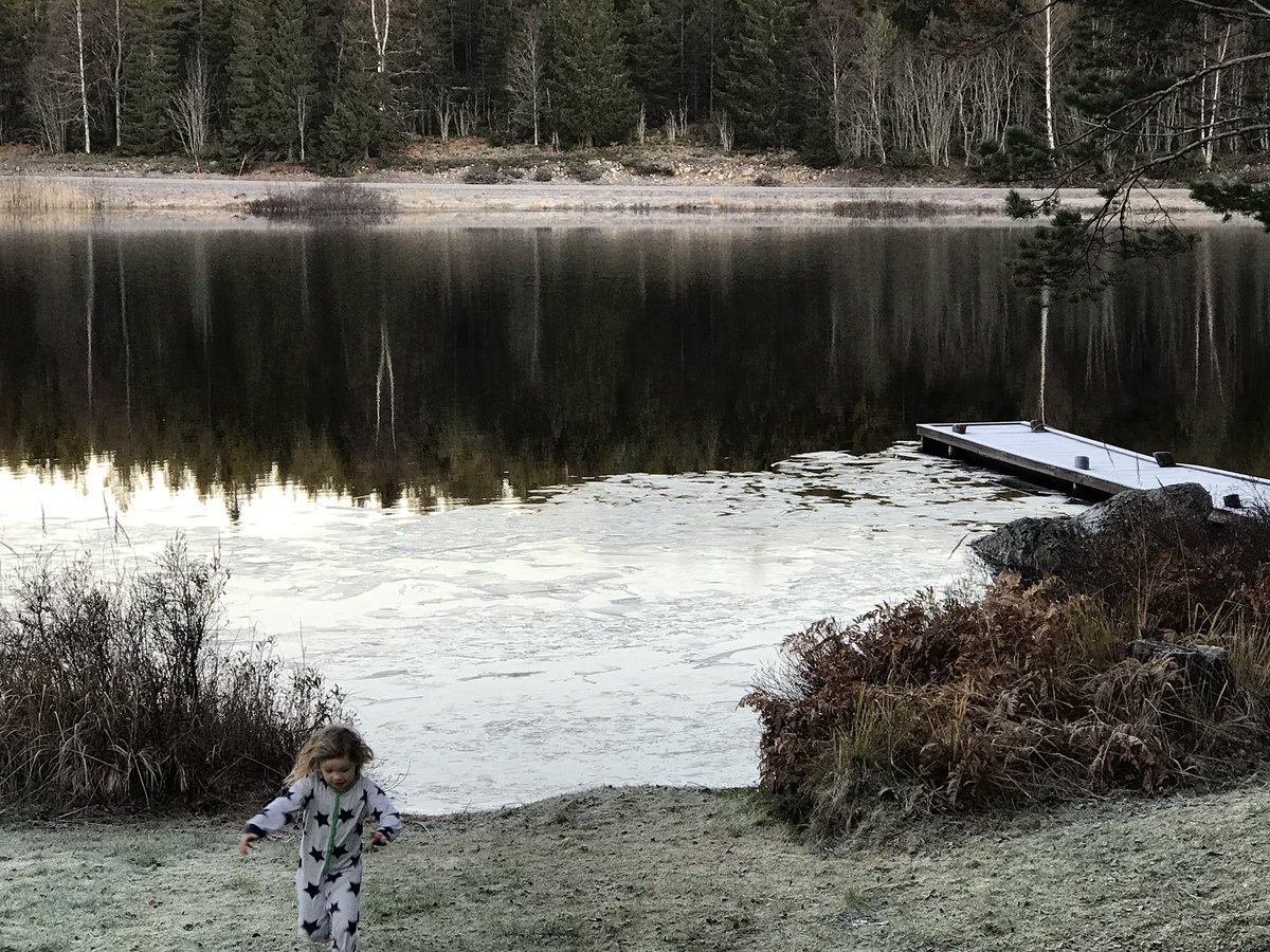 Mi Abode tweet media