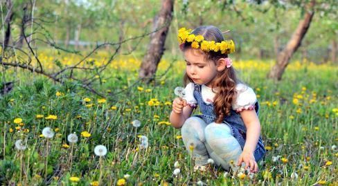 earlyplay's tweet photo. Study nature, love nature, stay close to nature. It will never fail you. ~ Frank Lloyd Wright https://t.co/RNhrcZmLix