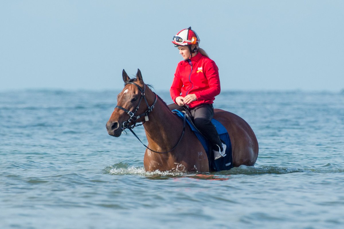 mmsnippets's tweet photo. Outstanding shots of Gold Coast Yearling buy #Redzel at the beach with a mate. $10M The Everest winner runs on Saturday!
📷 @FastTrackPhotog https://t.co/aAVBuc3F6D