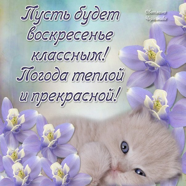 Открытка выходного воскресенья, открытка ссср смешные
