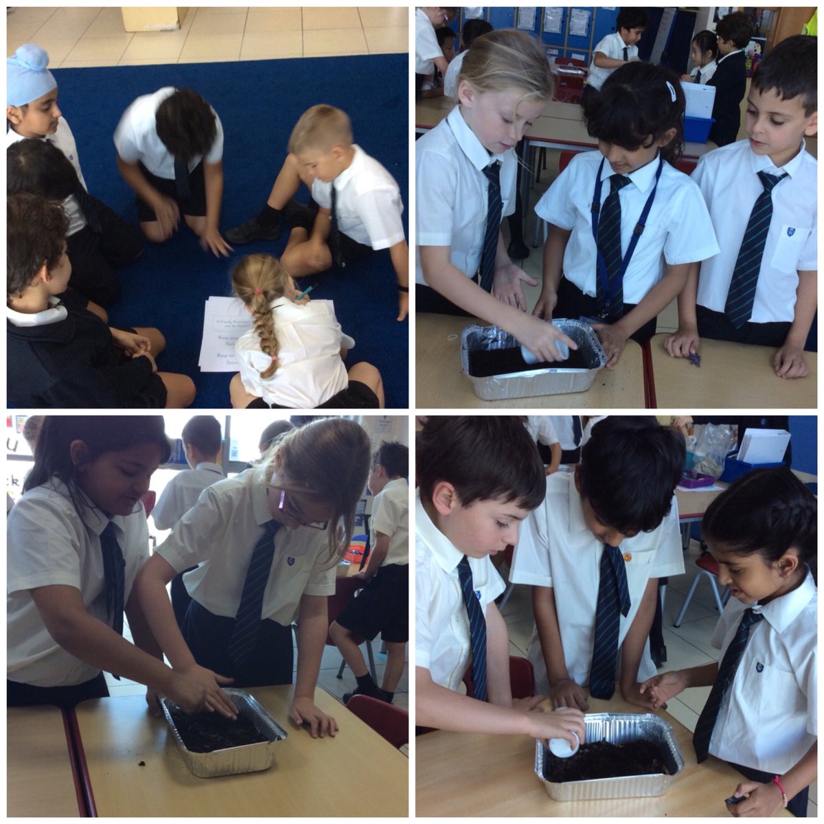 WSO_Year3's tweet photo. Investigating how fossils are formed https://t.co/dfFAeCjjlT