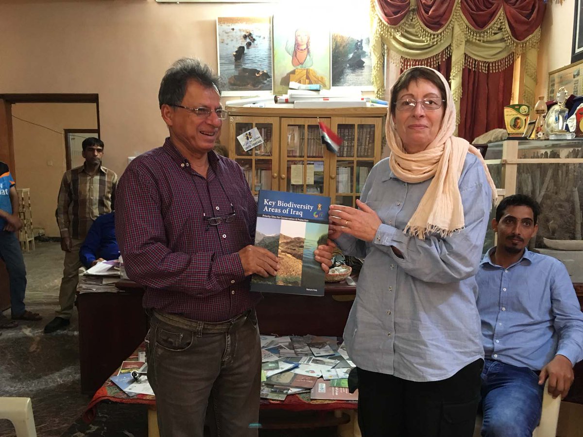 Jane Moon tweet media